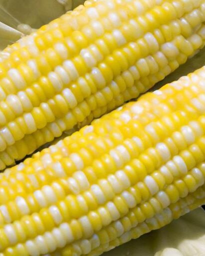 Golden Kernels: The Ultimate Guide to Corn on the Cob